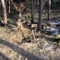 Война в Осетии 09